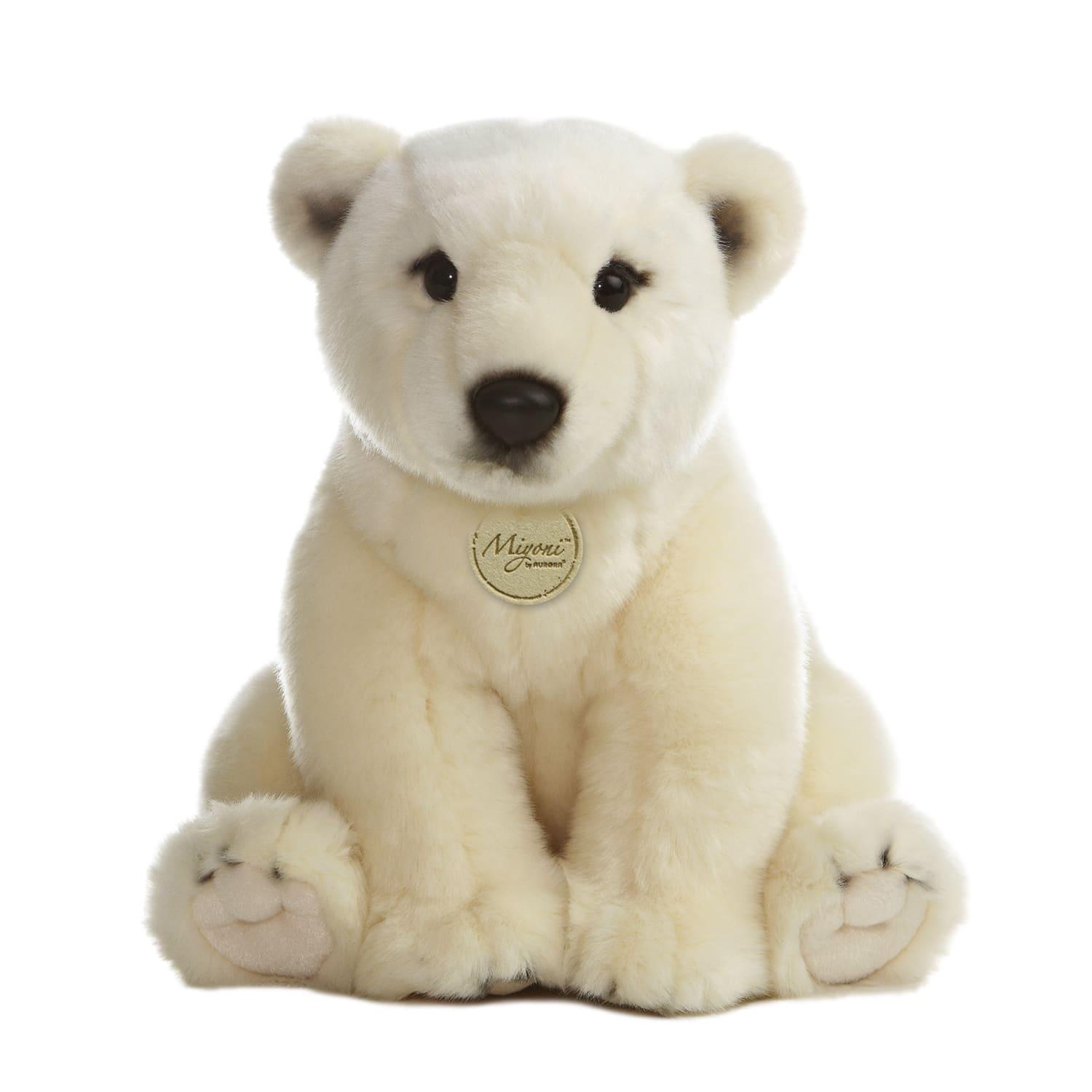 Oso Polar